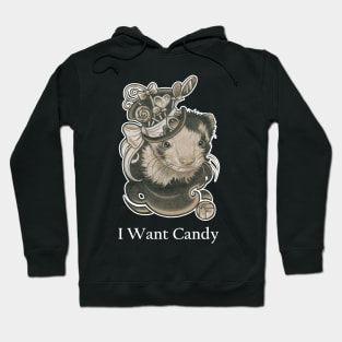 The Candy Lover Ferret - I Want Candy -White Outlined Version Hoodie